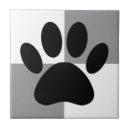 Recherche de chien blanc carreaux Noir