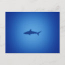 Recherche de requin cartes postales Animal