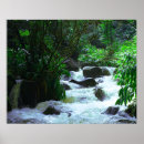 Zoek naar tropische waterval posters Hawaii
