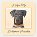 Recherche de dobie autocollants Broche