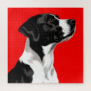 Recherche de chien blanc puzzles Canin