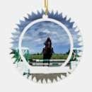 Recherche de de de cheval ornements Équin