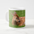 Recherche de faon tasses Forêt