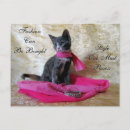 Recherche de une petite princesse cartes postales Chaton