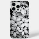 Recherche de fleurs blanches coques Joli