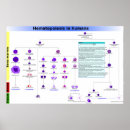 Recherche de diagrammes posters Pour tous