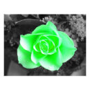 Recherche de arrière plan bleu foncé posters Floral