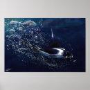 Recherche de manta ray posters Bleu