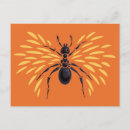 Recherche de fourrure cartes postales Nature
