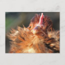 Recherche de délirant cartes postales Drôle