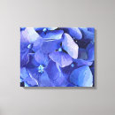 Zoek naar hydrangea kunst Brandkranen