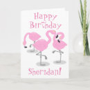 Zoek naar grappige flamingo kaarten Roze