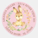 Recherche de lapin bébé autocollants Pour elle