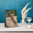 Recherche de herbe plaques Faune