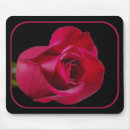 Recherche de bourgeon de rose rouge Nature