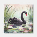 Recherche de gracieux magnets Cygne