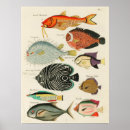 Zoek naar ontdekkingen posters For kids