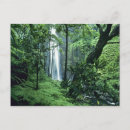 Recherche de pali cartes postales Kauai