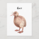 Zoek naar kiwi briefkaarten Waterverf
