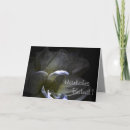 Recherche de amaryllis vœux cartes Fleur