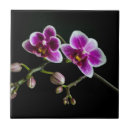 Recherche de orchidée rose carreaux Rouge