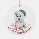 Recherche de dog ornamente First christmas