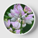 Recherche de fleurs roses horloges Nature
