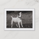 Recherche de affaires de chien cartes visite Moderne