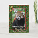 Zoek naar rode panda kaarten Groet