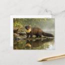 Recherche de martres cartes postales Nature