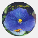 Zoek naar viooltje stickers Botanisch