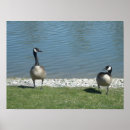 Recherche de paysage canadien posters Photographie