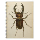 Zoek naar stag notitieboeken Vlek