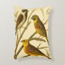 Recherche de branches coussins Oiseau