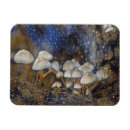 Recherche de rougeoyer magnets Champignons