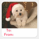 Recherche de bichon frise autocollants Noël