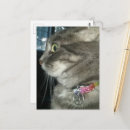 Zoek naar pentagrams briefkaarten Wicca
