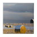 Recherche de foin carreaux Agriculture