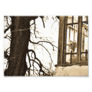 Recherche de ton de sépia posters Fleurs