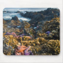 Recherche de nancy tapis souris Superstock