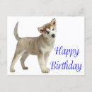 Recherche de malamute vœux cartes Chiot malamué de l'alaska