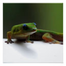 Recherche de animaux comiques posters Faune