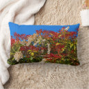 Recherche de arbustes coussins Fleurs