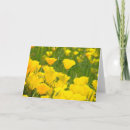 Recherche de pavots vœux cartes Rose