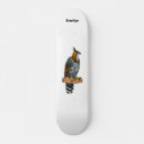 Recherche de faucon skateboards Oiseau