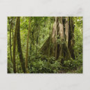 Recherche de paz cartes postales Costa
