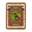 Zoek naar verzameling magneten Inspiratie