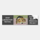 Recherche de expérimentation animale Beagle
