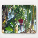 Recherche de banane tapis souris Fruits