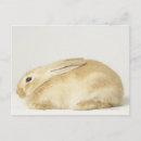 Recherche de arrière plan beige cartes postales Animal